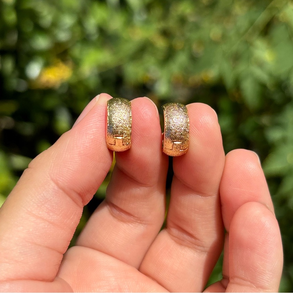 18K Gold Plated Stainless Steel Hoop Earrings
